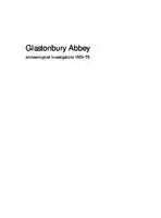 Cover Image of Glastonbury Abbey: Archaeological Investigations 1904‚Äì79