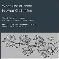 Cover Image of What Kind of Island in What Kind of Sea?