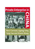 Cover Image of Private Enterprise in China