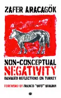 Cover Image of Non-Conceptual Negativity: Damaged Reflections on Turkey