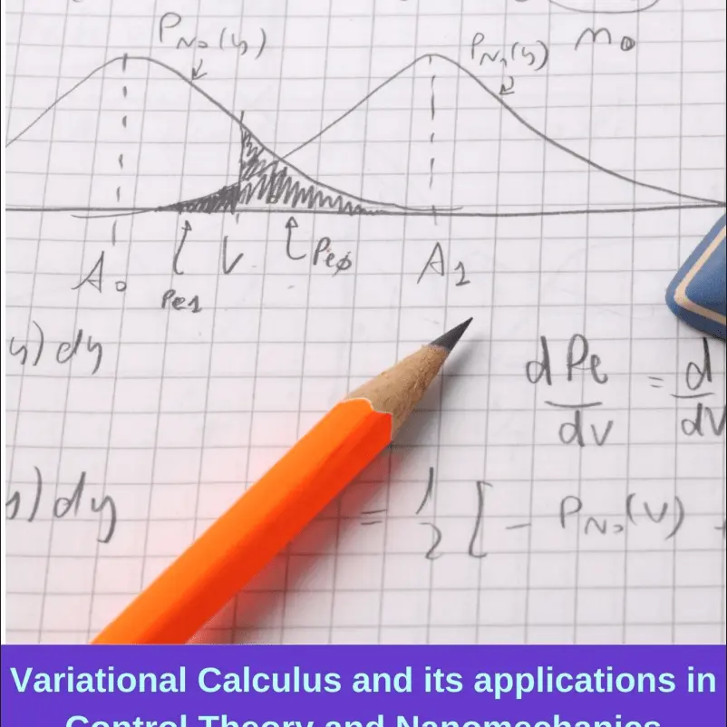 Cover Image of Variational Calculus and its applications in Control Theory and Nanomechanics