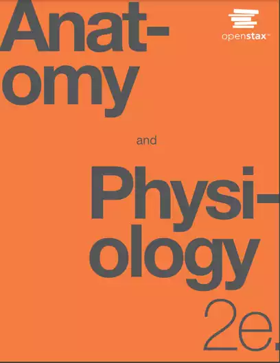 Cover Image of Anatomy and Physiology 2e